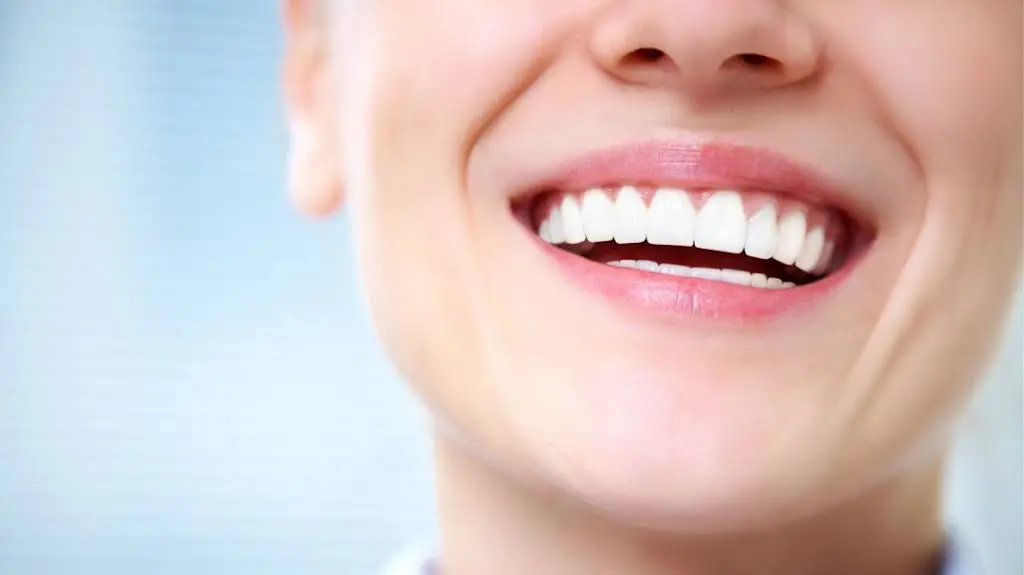 Marc Meiselman DMD PC - Professional dental clinic exterior with modern facilities