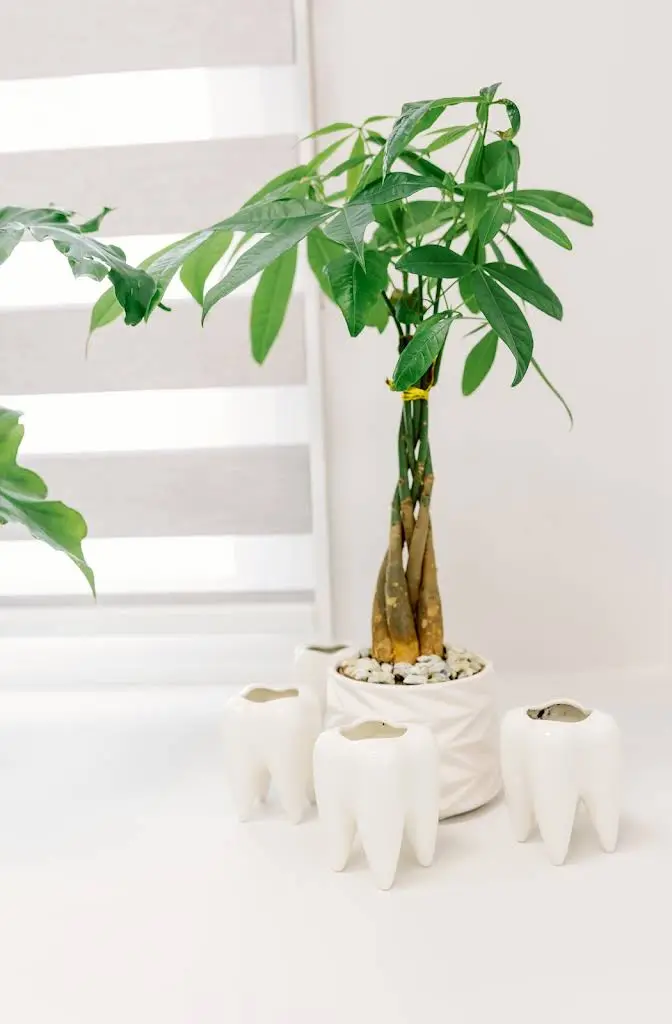 Passaic Oral Surgery & Dental Implant Center