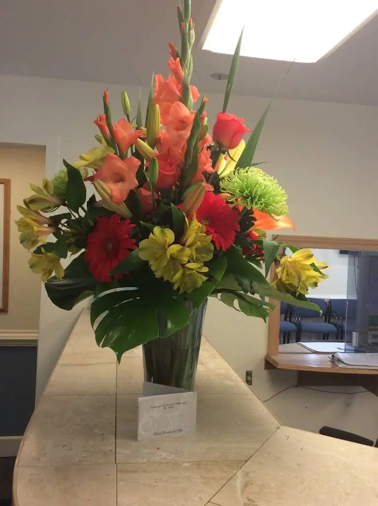Shrewsbury Dental Group