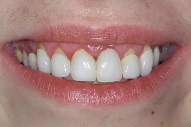 The Center For Holistic Dental Medicine