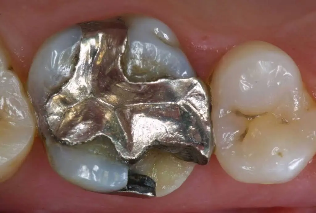 The Center For Holistic Dental Medicine
