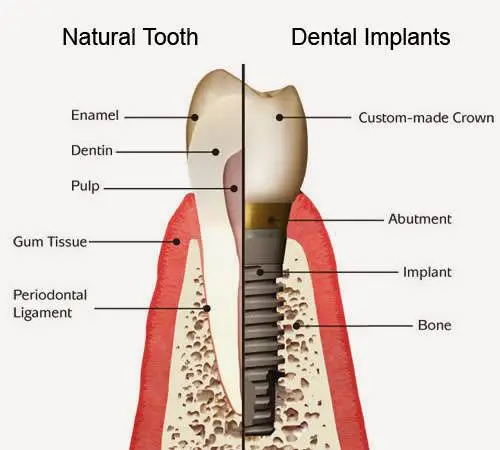 M.Y. Dental Spa