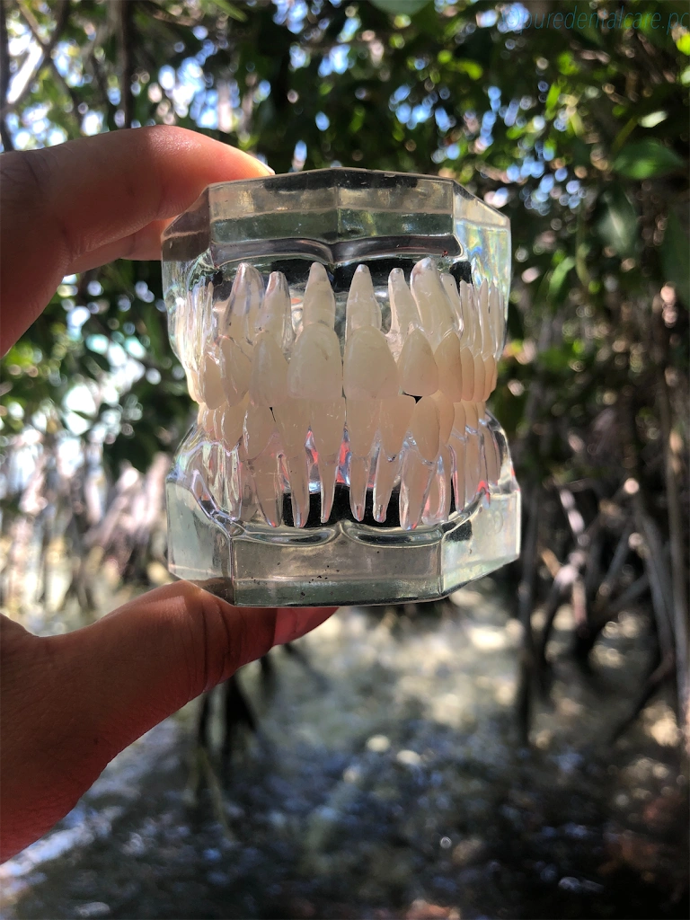 Pure Dental Care