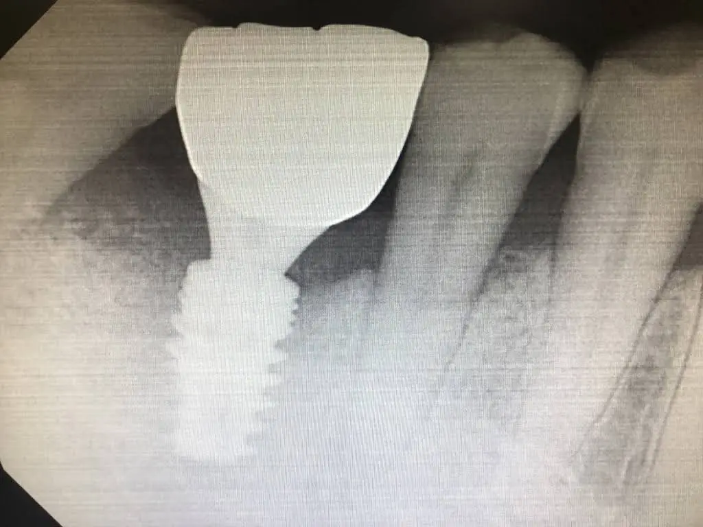 K&W Dental