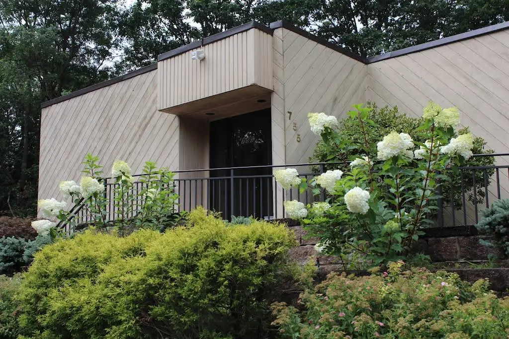 Apollonia Dental Arts
