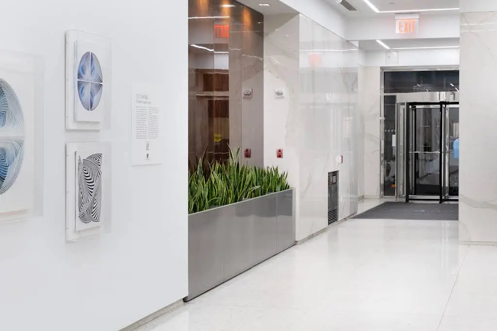 Midtown Dental Services