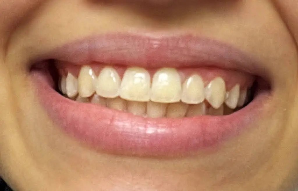 Richmond Avenue Orthodontics - Professional dental clinic exterior with modern facilities