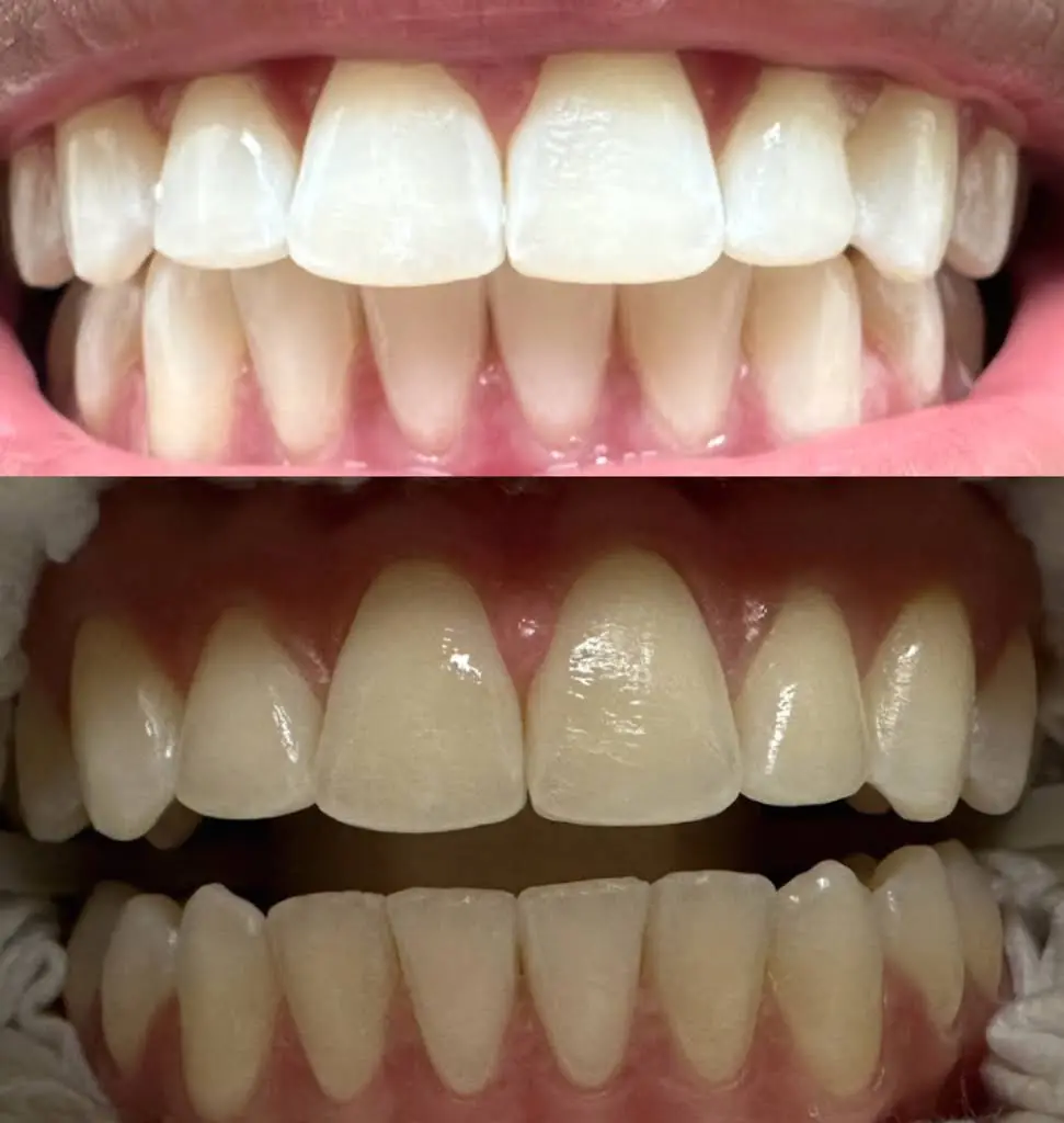 Premier Dental