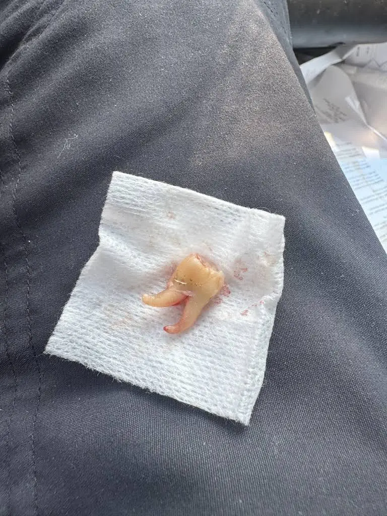 Floral Dental Care, PC