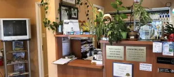 Kelner Lillian DDS / Seaview Dental Center