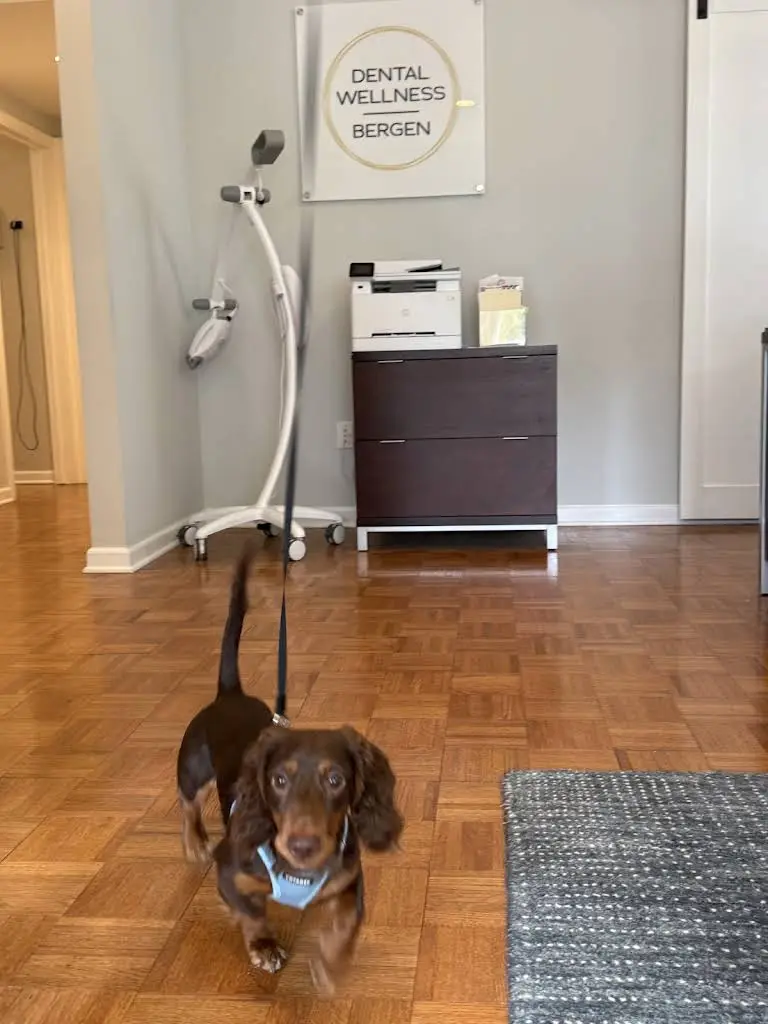 Bergen Dental Wellness, LLC