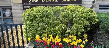 Star Dental Smiles