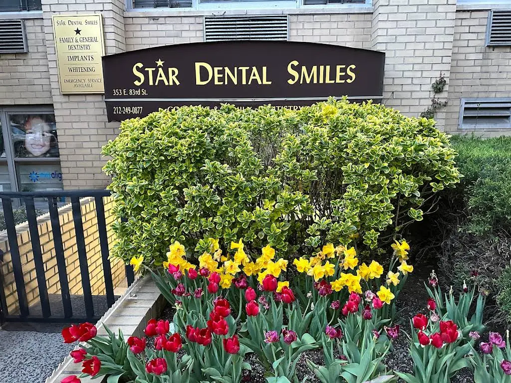 Star Dental Smiles - Professional dental clinic exterior with modern facilities