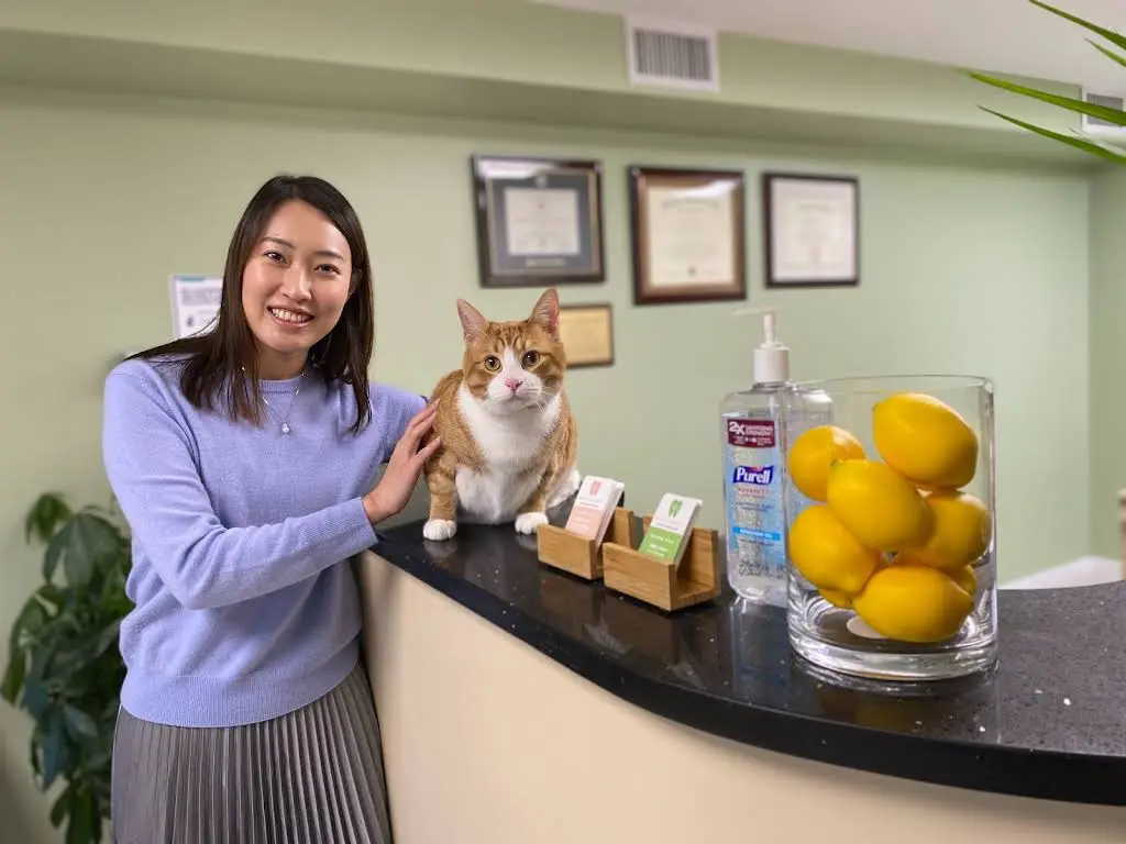 Lemon Tree Dental