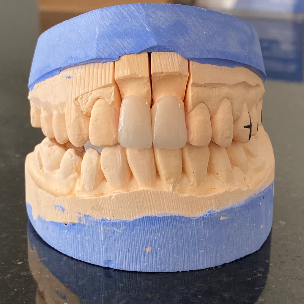 Lemon Tree Dental