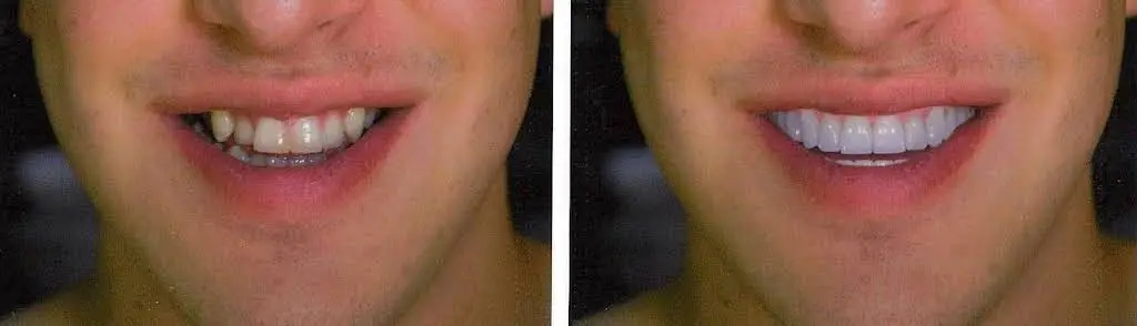 XpertDental