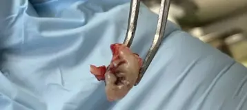 Armando Fernandez DDS