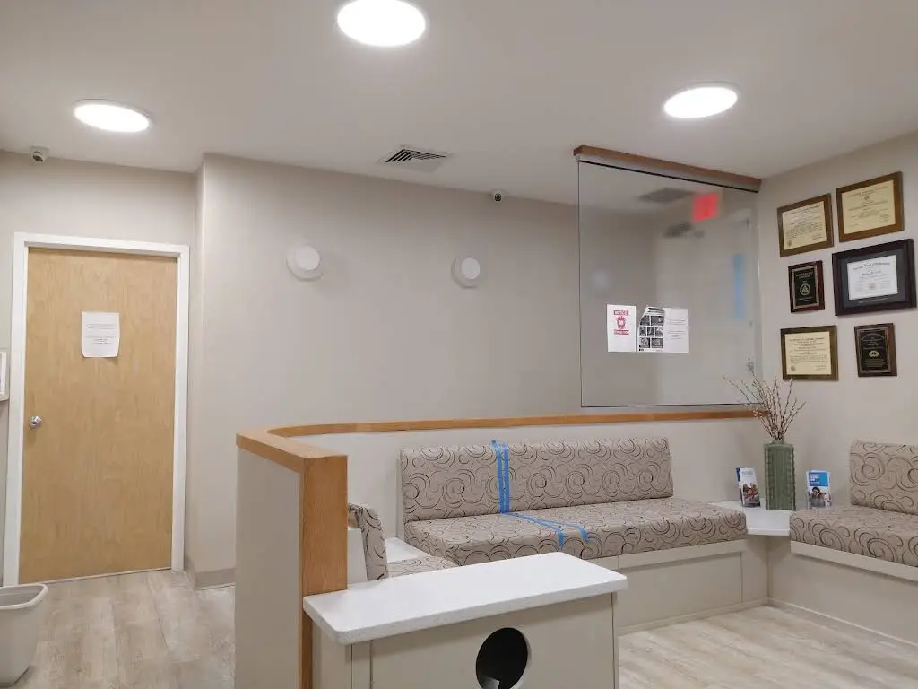 Cabri Orthodontics - Professional dental clinic exterior with modern facilities