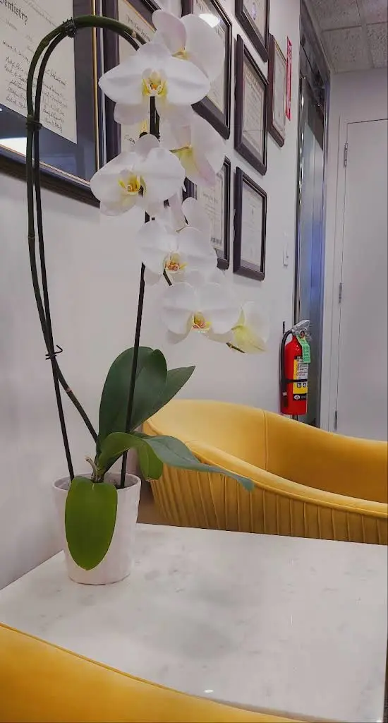 CozyDental&Facial