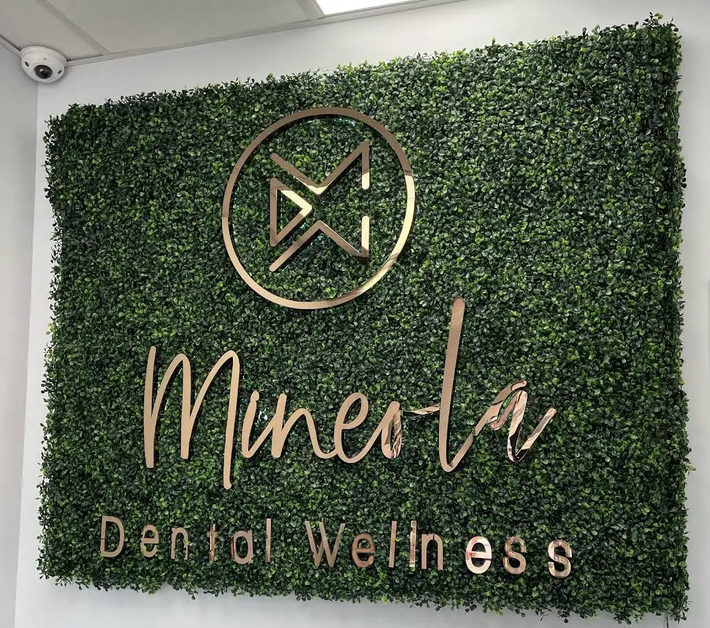 Mineola Dental Wellness - Professional dental clinic exterior with modern facilities