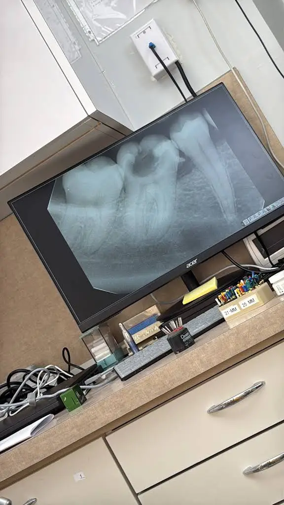 Pilar Ayarza DDS PC