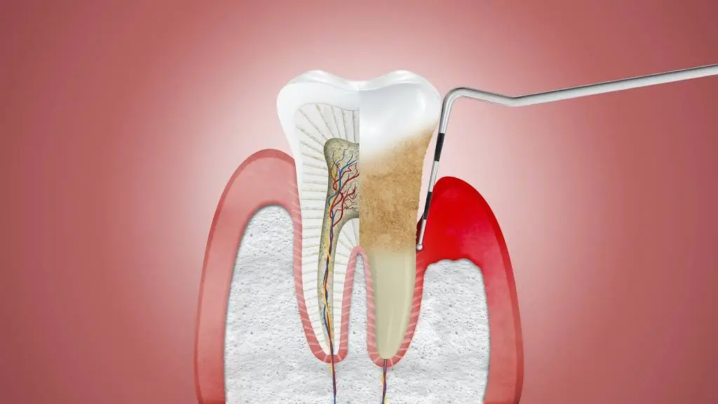 Rockland Dental Specialists