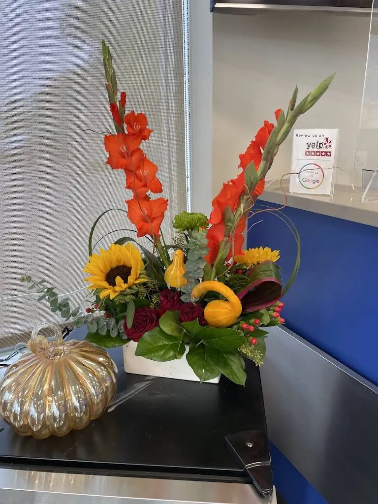 National Dental East Meadow