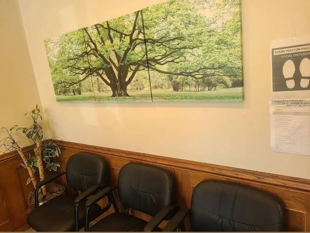 Dr. Stein Dental Group