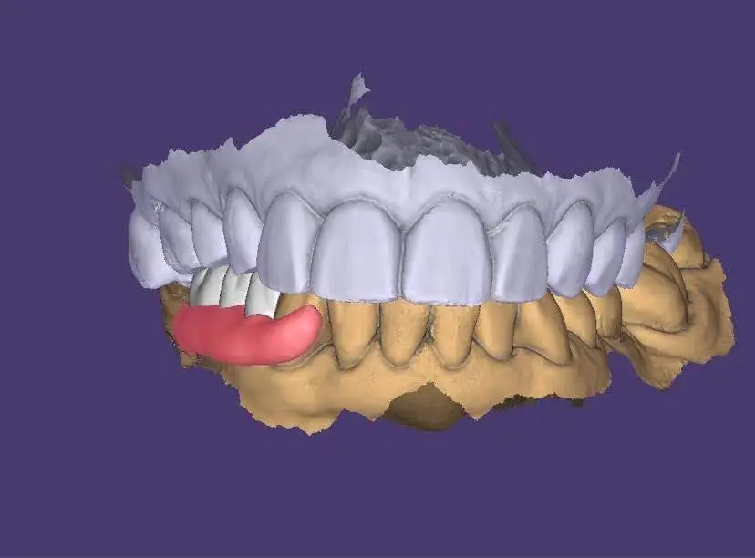 Miller Dental Arts