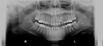 Jersey Dental Arts, P.A.