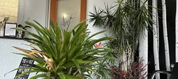 Family EcoDental