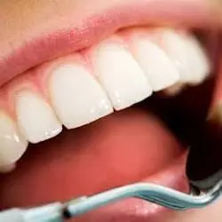 Plum Point Dental