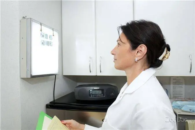 M&I Dental Office Iana Arakelova, DDS