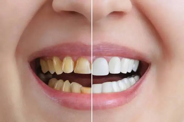 Montgomery Greene Dental