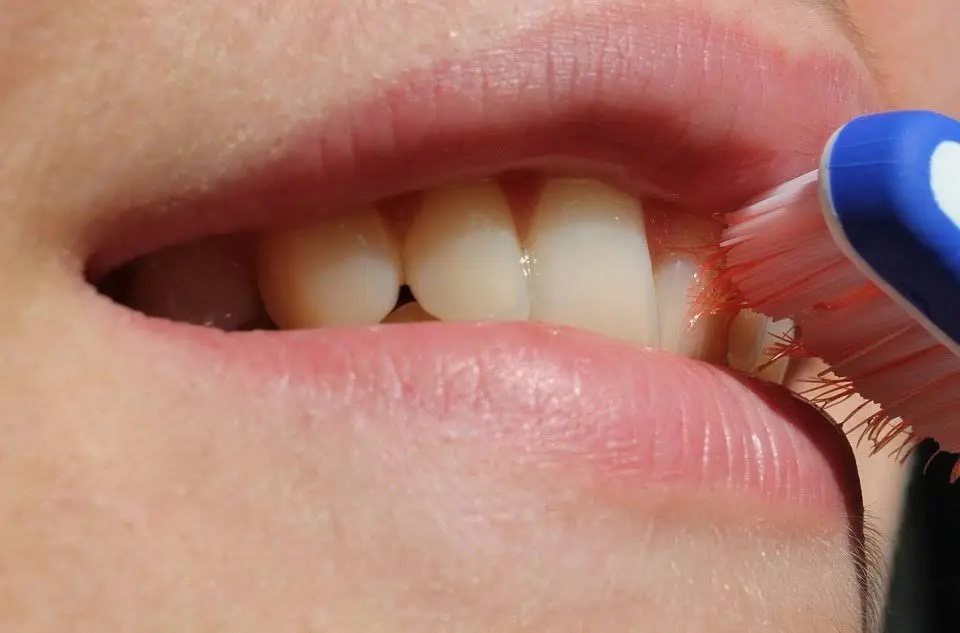 Montgomery Greene Dental
