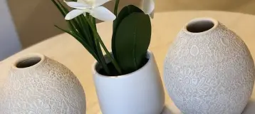Native Dental