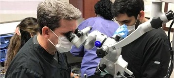 South Shore Dental Care