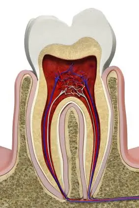 Jutkowitz Periodontics & Implantology Roslyn