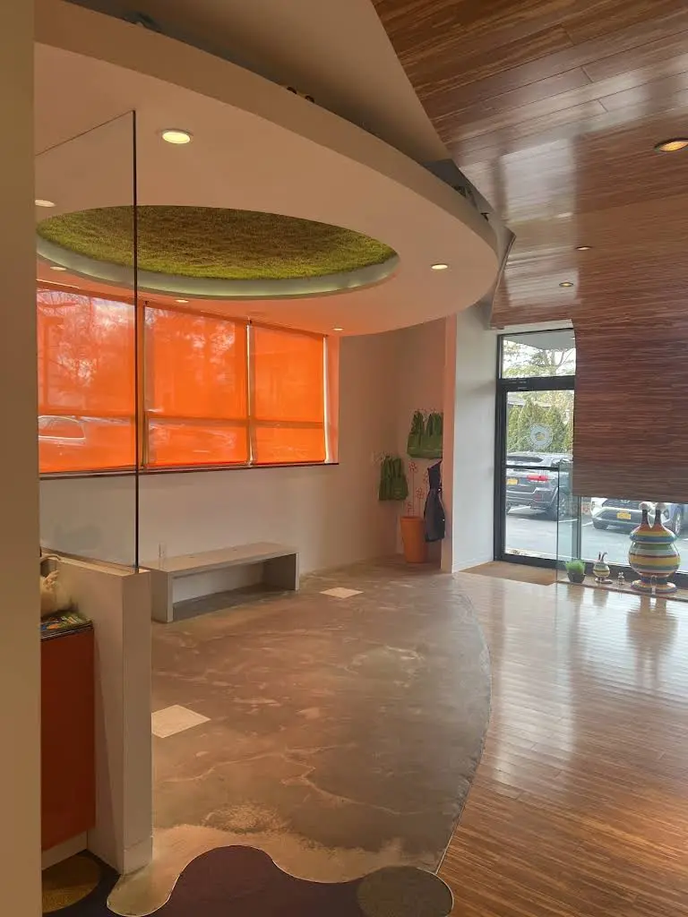 Summerfield Pediatric Dentistry & Oral Surgery - SPD Orthodontics