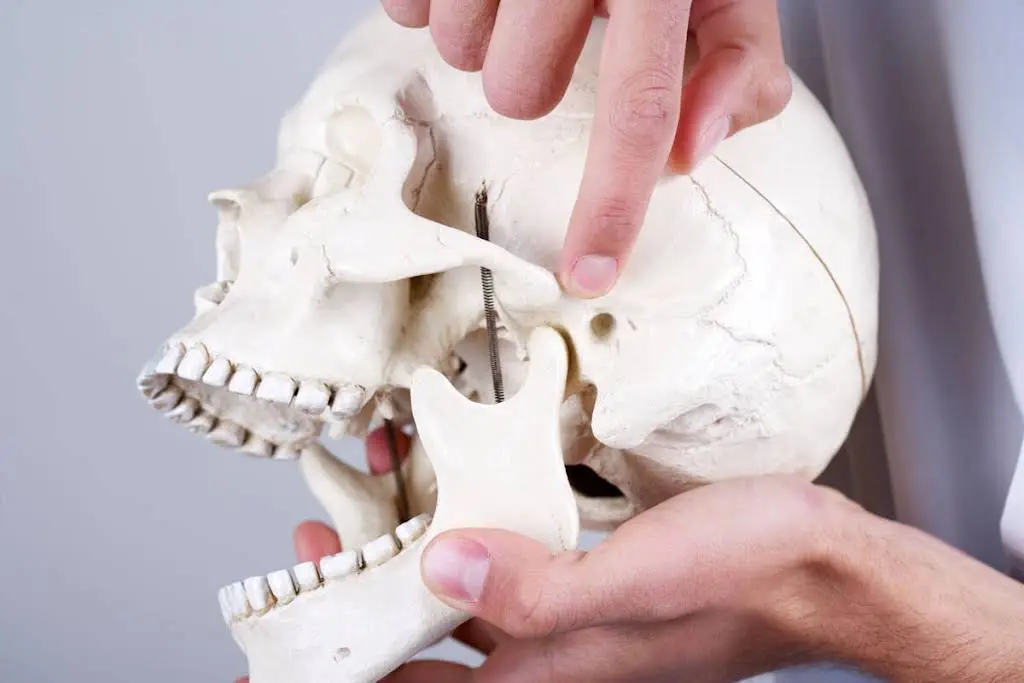 Donato A. Valente, DDS, PC