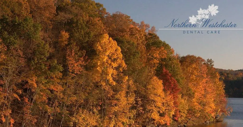 Northern Westchester Dental Care - Professional dental clinic exterior with modern facilities