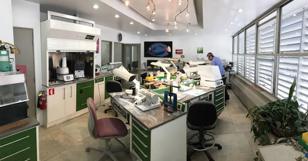 Precision Arts Dental Associates