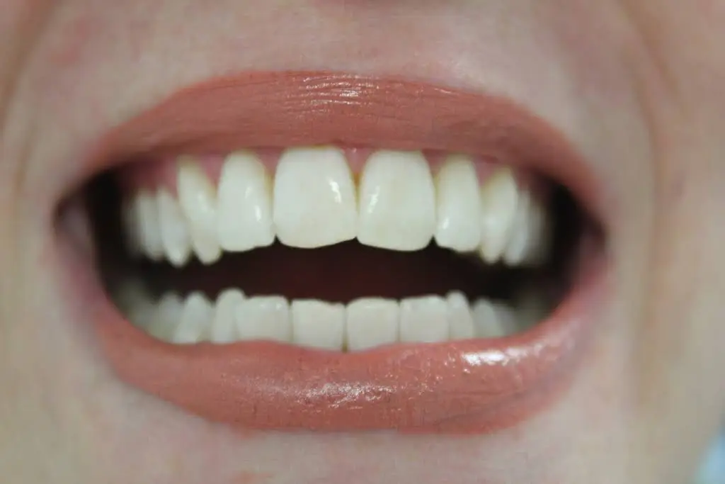 Robert E Friedman DDS PC