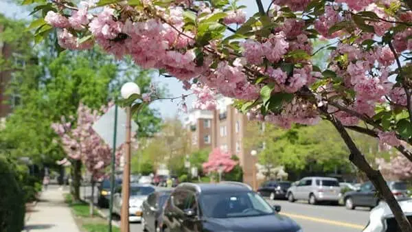 Bronxville Dental Care: Jenny A. Kanganis, DDS - Professional dental clinic exterior with modern facilities