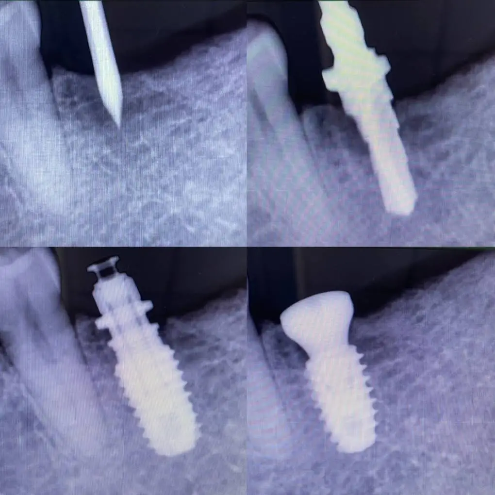 White Plains Dental