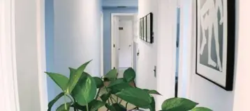 Maria Jacome DDS