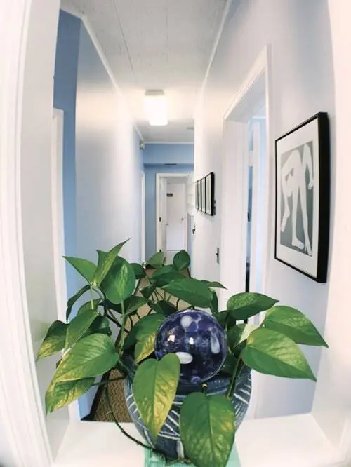 Maria Jacome DDS - Professional dental clinic exterior with modern facilities
