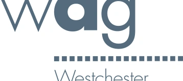 Westchester Dental Group