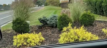 Mid Hudson Dental