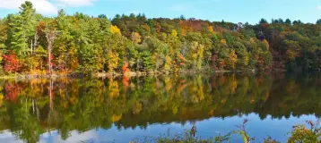 Endodontics of The Hudson Valley
